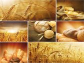 Food Bread  Photo Wallcovering