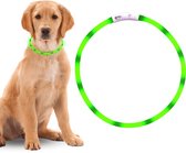 LED Halsband Hond - Lichtgevende Halsband Hond - Groen - 20-70 cm - USB Oplaadbaar