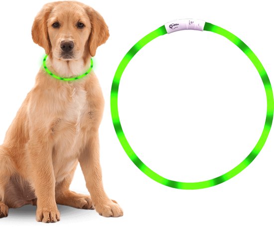 Professor Q Led Hondenhalsband - Veiligheidshalsband Hond - Led Halsband Hond - Halsband Usb Oplaadbaar Groen
