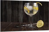 Vlag - Gin Tonic met Citroenschijfjes - 120x80 cm Foto op Polyester Vlag
