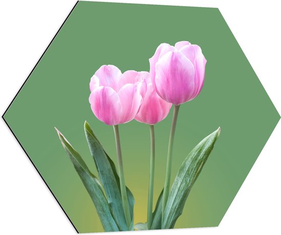 Dibond Hexagon - Roze Tulpen met Groene Achtergrond - 70x60.9 cm Foto op Hexagon (Met Ophangsysteem)