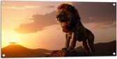 Tuinposter – Leeuw op Rots met Zonsondergang - 100x50 cm Foto op Tuinposter (wanddecoratie voor buiten en binnen)