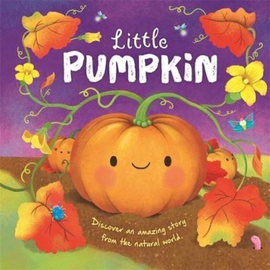 Geïllustreerd boekje Little Pumpkin met een vrolijke oranje pompoen tussen herfstbladeren en bloemen.