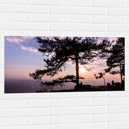 Muursticker - Boom met Paarse Zonsondergang - 100x50 cm Foto op Muursticker