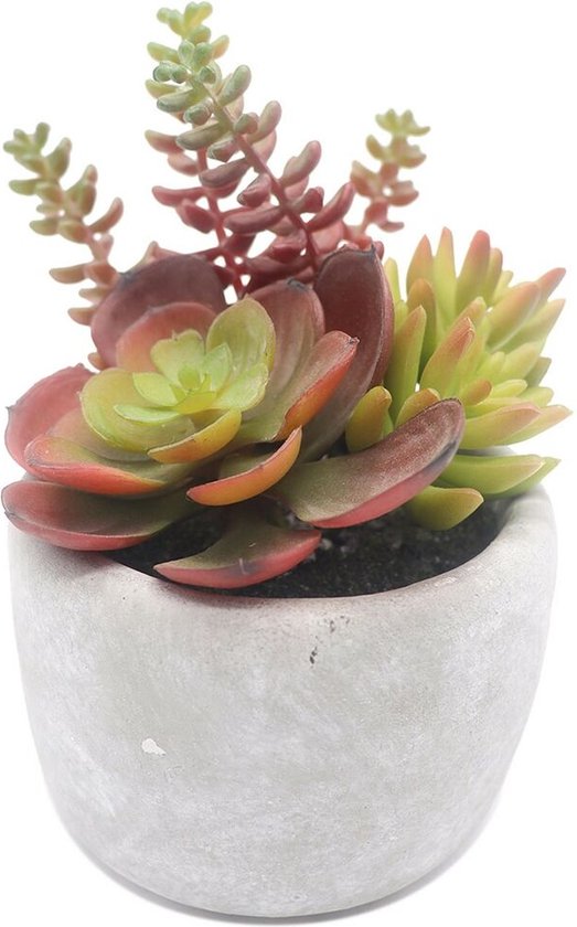Decoratieve plant Versa Keramisch Plastic 12,7 x 15,24 x 12,7 cm