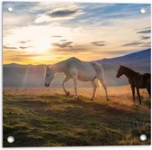 Tuinposter – Paarden in Weiland met Zonsopgang - 50x50 cm Foto op Tuinposter (wanddecoratie voor buiten en binnen)