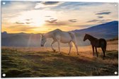 Tuinposter – Paarden in Weiland met Zonsopgang - 90x60 cm Foto op Tuinposter (wanddecoratie voor buiten en binnen)