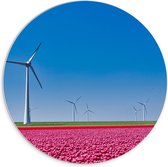 PVC Schuimplaat Muurcirkel - Bloemen - Bloemenveld - Tulpen - Landschap - Windmolens - Nederland - Kleuren - 70x70 cm Foto op Muurcirkel (met ophangsysteem)