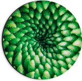 Dibond Muurcirkel - Bloem - Druppels - Groen - 20x20 cm Foto op Aluminium Muurcirkel (met ophangsysteem)