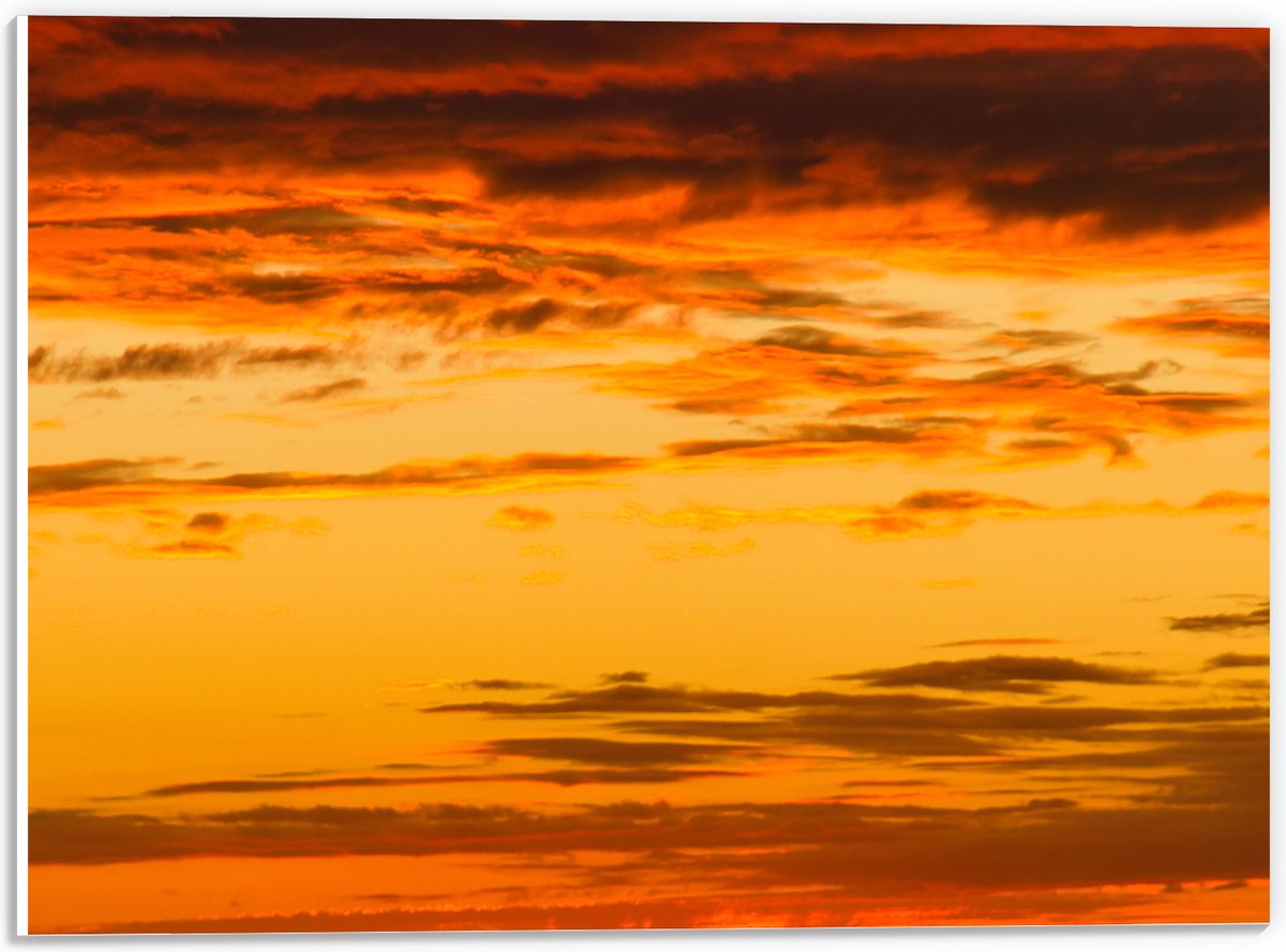 PVC Schuimplaat- Oranje Gloed over de Sluierbewolking in de Lucht - 40x30 cm Foto op PVC Schuimplaat