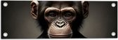 Tuinposter – Portretfoto van Chimpansee Aap in Zakelijk Pak met Gestreepte Stropdas - 60x20 cm Foto op Tuinposter (wanddecoratie voor buiten en binnen)