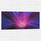 Muursticker - Bloem - Roze - Licht - 100x50 cm Foto op Muursticker