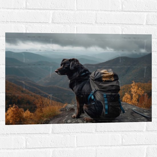 Muursticker - Reizende Hond met Backpack op Top van de Berg - 75x50 cm Foto op Muursticker