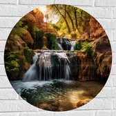 Muursticker Cirkel - Kleine Watervallen bij de Rotsen in het Bos - 70x70 cm Foto op Muursticker