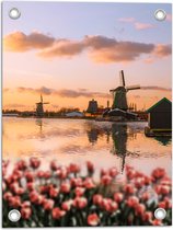 Tuinposter – Rij Tulpen aan het Water voor Molens in Nederland - 30x40 cm Foto op Tuinposter (wanddecoratie voor buiten en binnen)