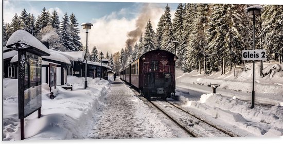 Dibond - Tram rijdend door Besneeuwd Landschap - 100x50 cm Foto op Aluminium (Met Ophangsysteem)