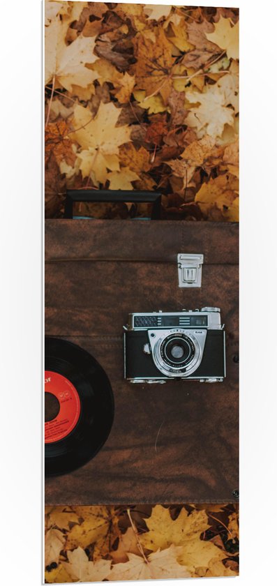 PVC Schuimplaat- Muziekplaat en Vintage Camera op Koffer tussen de Herfstbladeren - 40x120 cm Foto op PVC Schuimplaat