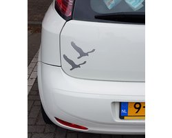 Kiekendief sticker Flevoland - 10x14cm - zilver - topkwaliteit avery autoreclame folie
