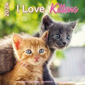 I Love Kittens Kalender 2024