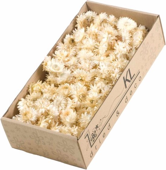 900 stks Bloem Meeldraden, Parel Dubbele Koppen Bloem Meeldraden Mix Kleur Bloem Stampers Hoofddeksels Accessoires DIY Kunstmatige Kaarten Bloemen Meeldraden(#4