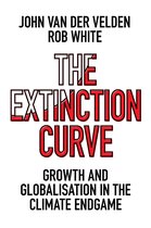 The Extinction Curve
