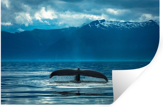 Muurstickers - Sticker Folie - Staart van een grote bultrug walvis - 90x60 cm - Plakfolie - Muurstickers Kinderkamer - Zelfklevend Behang - Zelfklevend behangpapier - Stickerfolie