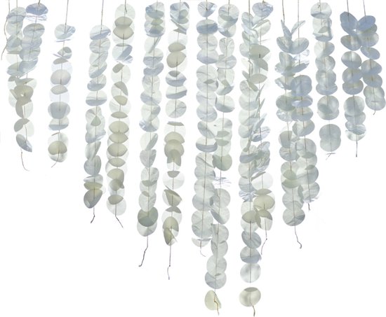 Ginger Ray - Ginger Ray - Backdrop eucalyptus | bol