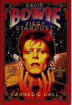 Metalen wandbord David Bowie Ziggi colour - 20 x 30 cm