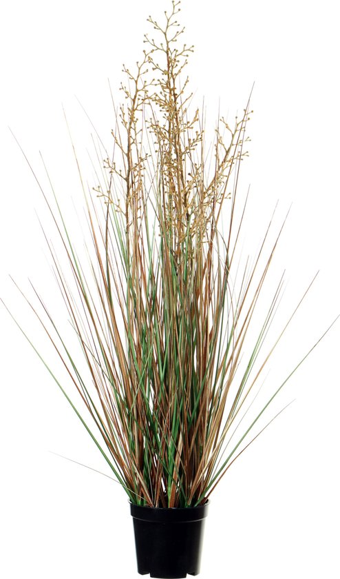 Louis Maes Plante artificielle de qualité - Graminée ornementale avec baie - vert/marron - H75 cm - en pot