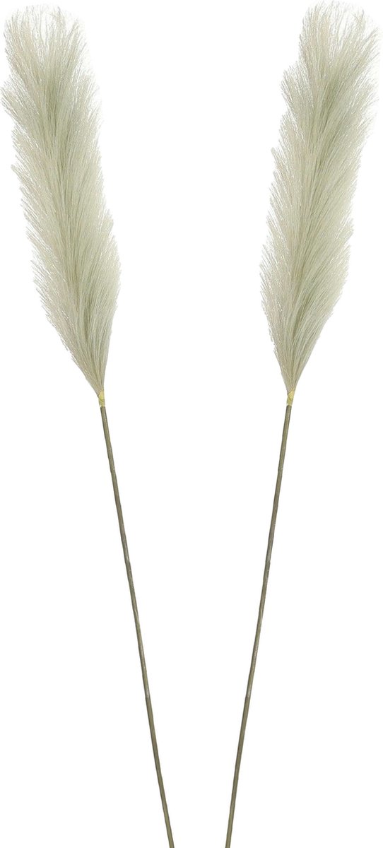 Mica Decorations Pluimgras losse steel/tak - 2x - salie groen - 104 cm - Decoratie kunst bloemen