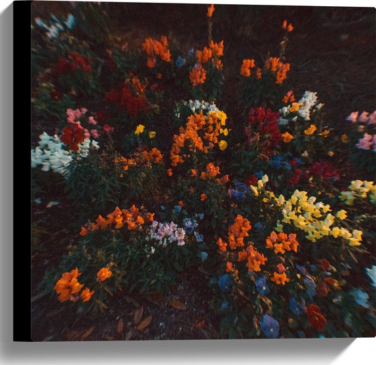 Canvas - Bloemen - Wazig - Natuur - Bossen - Kleuren - Bladeren - 40x40 cm Foto op Canvas Schilderij (Wanddecoratie op Canvas)
