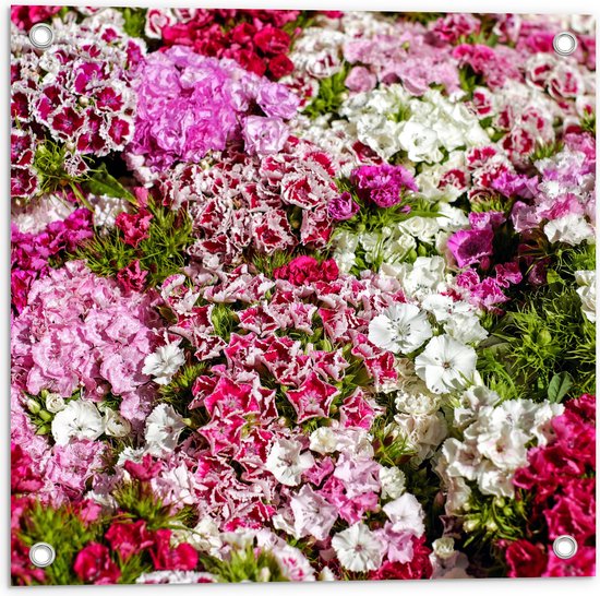 Tuinposter – Bloemen - Natuur - 50x50 cm Foto op Tuinposter (wanddecoratie voor buiten en binnen)