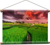 Textielposter - Roze Wolkenveld boven Bloeiende Rijstvelden - 60x40 cm Foto op Textiel