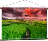 Textielposter - Roze Wolkenveld boven Bloeiende Rijstvelden - 90x60 cm Foto op Textiel