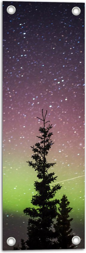 Tuinposter – Bomen - Sterren - Noorderlicht - Paars - 20x60 cm Foto op Tuinposter (wanddecoratie voor buiten en binnen)
