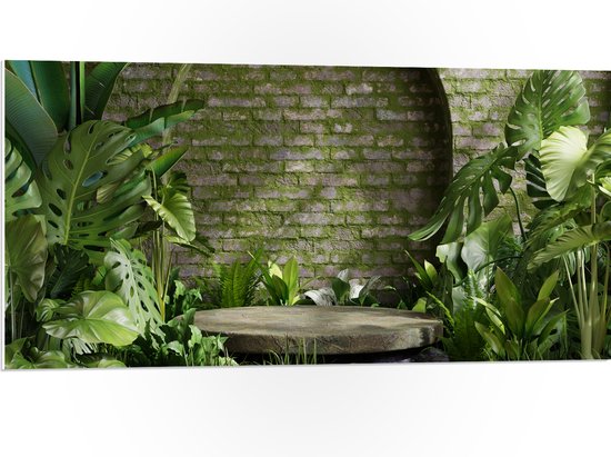 PVC Schuimplaat- Tuin met Groene Planten - 100x50 cm Foto op PVC Schuimplaat