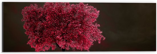 Dibond - Boom - Landschap - Roze - Bladeren - 60x20 cm Foto op Aluminium (Wanddecoratie van metaal)