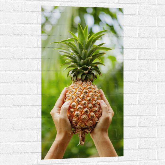 Muursticker - Verse tropische Ananas in Mensenhanden - 50x100 cm Foto op Muursticker