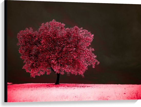 Canvas - Boom - Landschap - Roze - Bladeren - 100x75 cm Foto op Canvas Schilderij (Wanddecoratie op Canvas)