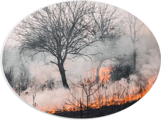 PVC Schuimplaat Ovaal - Bomen - Planten - Brand - Vuur - Rook - 40x30 cm Foto op Ovaal (Met Ophangsysteem)