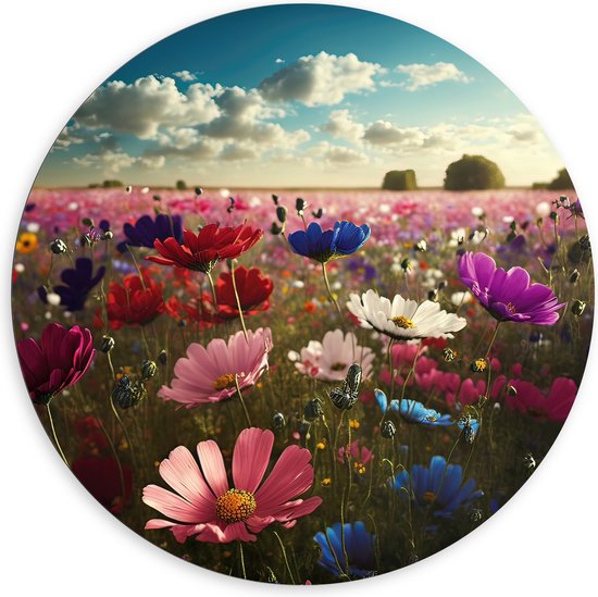 Dibond Muurcirkel - Schapenwolken boven Veld Vol met Bloemen in Verschillende Kleuren - 120x120 cm Foto op Aluminium Muurcirkel (met ophangsysteem)