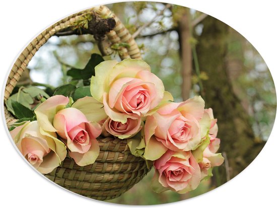 PVC Schuimplaat Ovaal - Bloemen - Rozen - Bladeren - Natuur - Roze - Mand - Bomen - Bos - 40x30 cm Foto op Ovaal (Met Ophangsysteem)