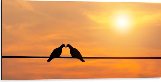 Dibond - Silhouet van Liefdevolle Vogels tegen Felle Zon - 100x50 cm Foto op Aluminium (Wanddecoratie van metaal)
