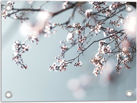 Tuinposter – Boom - Takken - Natuur - Bloesem - Bloemen - Wit - Roze - 40x30 cm Foto op Tuinposter (wanddecoratie voor buiten en binnen)