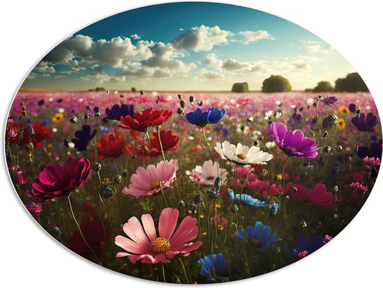 PVC Schuimplaat Ovaal - Schapenwolken boven Veld Vol met Bloemen in Verschillende Kleuren - 108x81 cm Foto op Ovaal (Met Ophangsysteem)