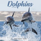 Dolfijnen Kalender 2024