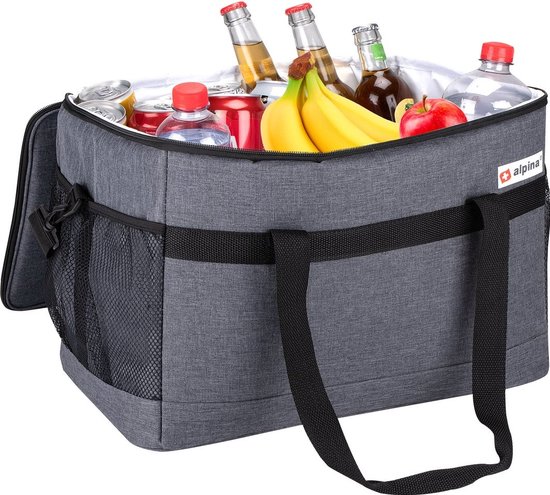 alpina Sac Isotherme 30L - Boîte à Lunch - Isolée - Usage Chaud et Froid -  Gris