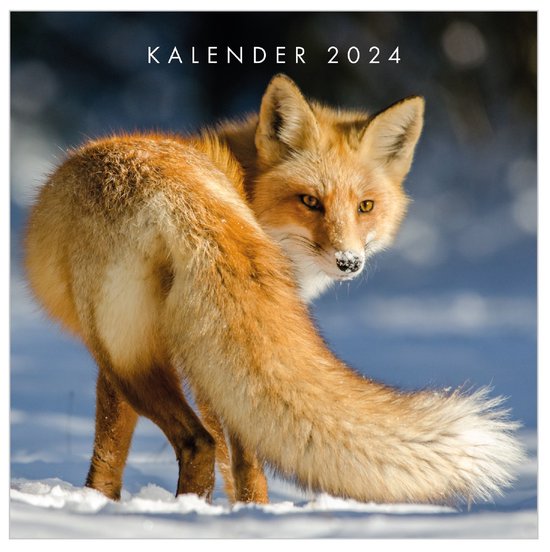 Wandkalender