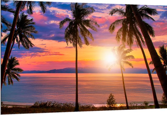 Dibond - Zonsondergang in de Zee bij Hoge Palmbomen - 150x100 cm Foto op Aluminium (Met Ophangsysteem)