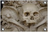 Tuinposter Doodskop / Skull 120x80cm- Foto op Tuinposter (wanddecoratie voor buiten en binnen)